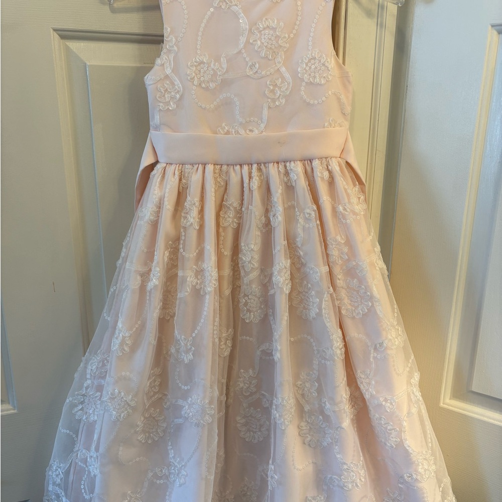 Cinderella Baby Pink Floral Lace Dress